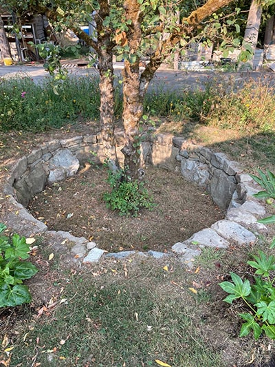 Dry stone tree well in Salt Spring Island, CA